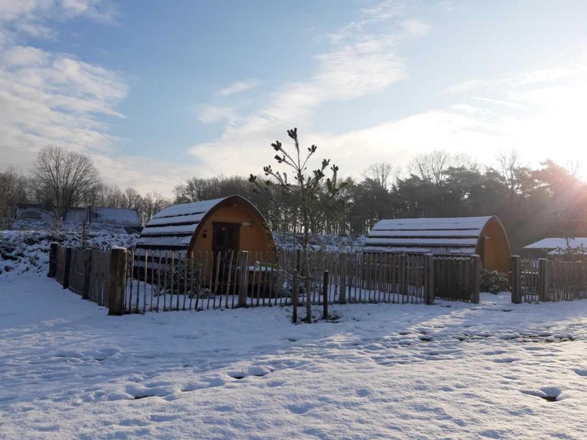 Campland Villa Arcen Eksteriør billede